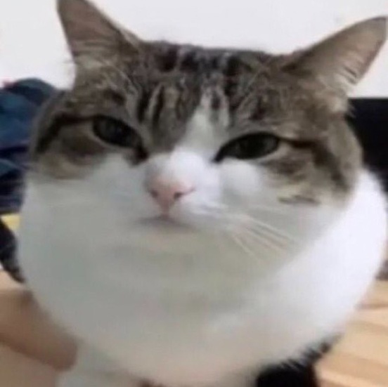 cq********* profile picture